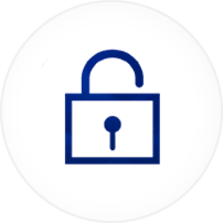 icon-7-min security