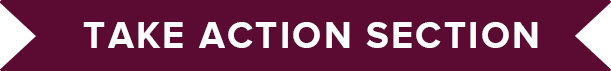 chapter 2 take action section