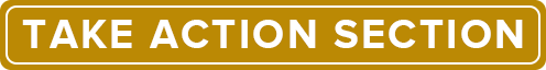 chapter3TakeAction-min-min