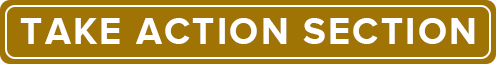 chapter4TakeAction-min