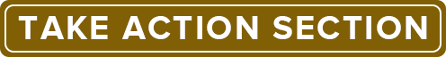transformative coaching action section