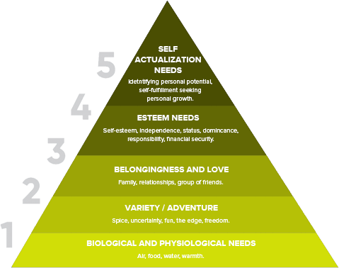 hierarchy