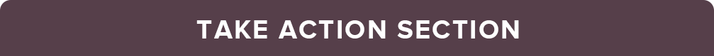 take action section