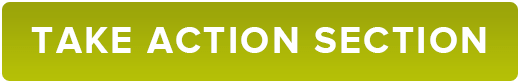 take action section