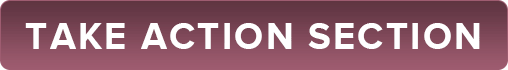 chapter2TakeAction-min take action section