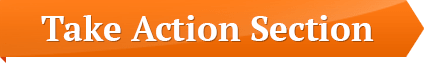 take action section