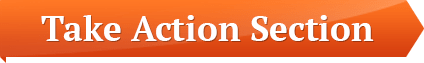 take action section