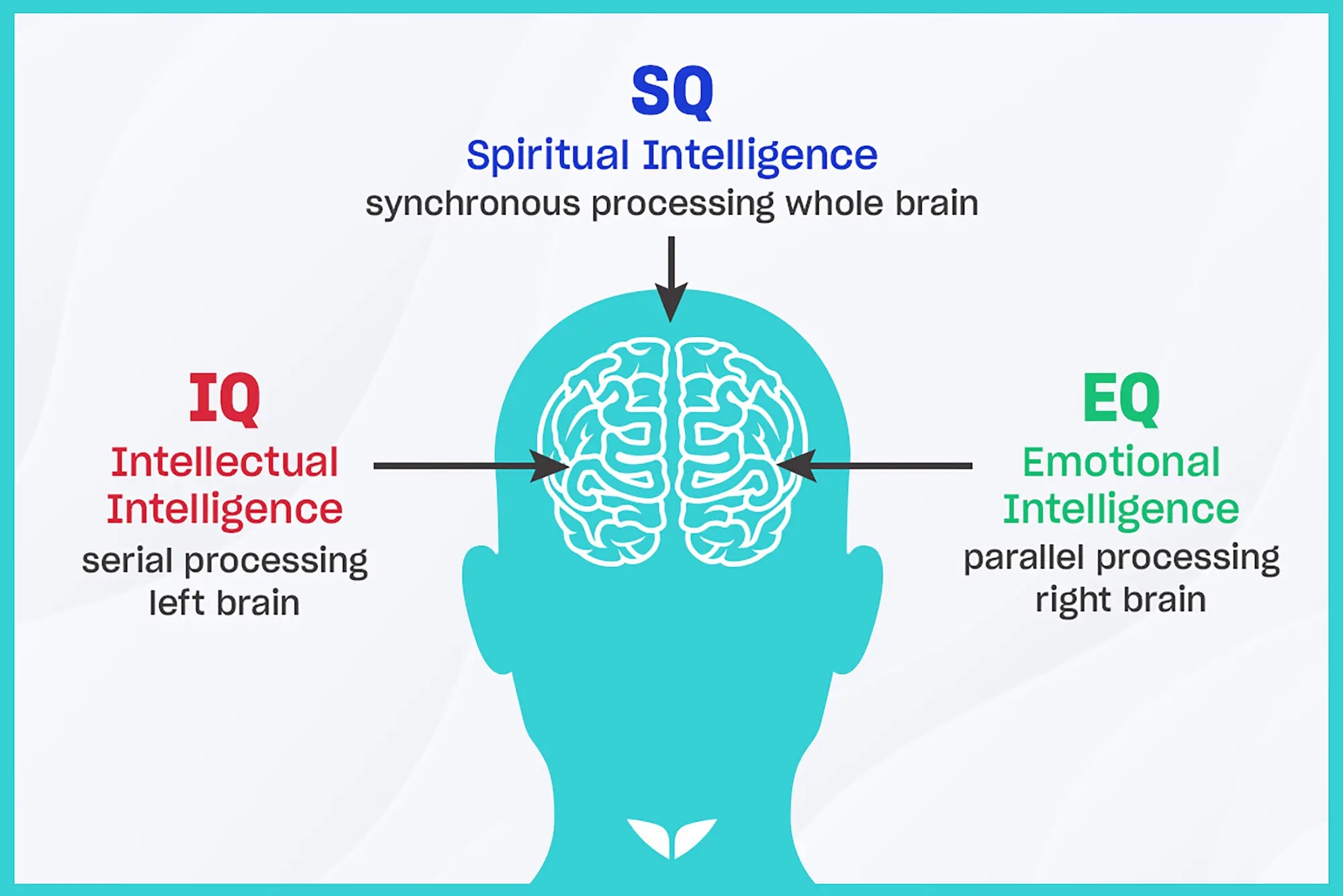 The three types of intelligence: spiritual intelligence, intellectual intelligence, and emotional intelligence