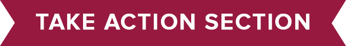 take action section