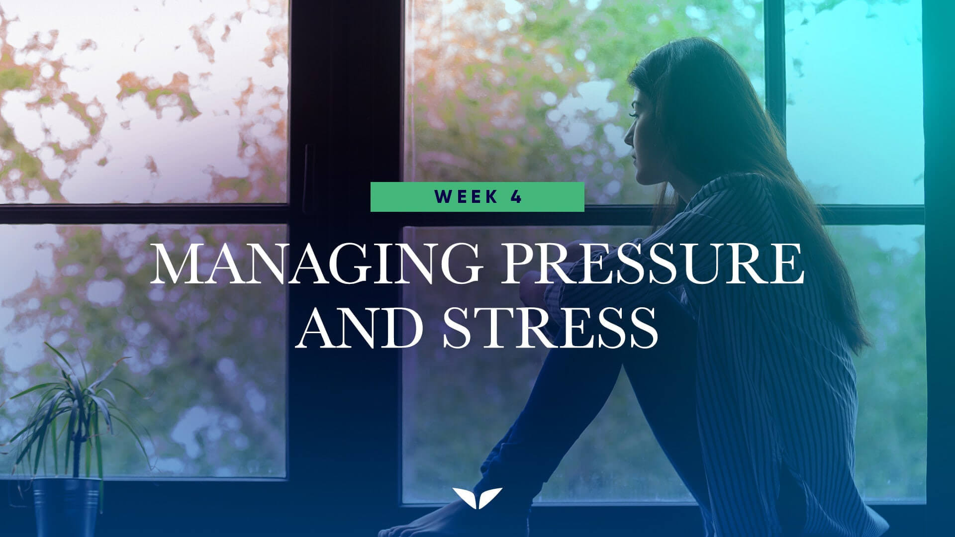 EEFu_week_4_pressure_n_stress