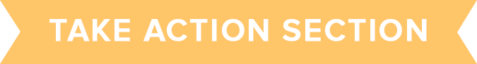 chapter 1 take action