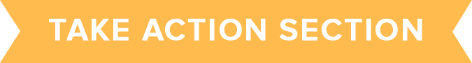 chapter 2 take action
