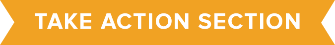 chapter 3 take action