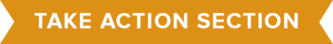 chapter 4 take action