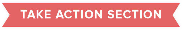 chapter 2 take action