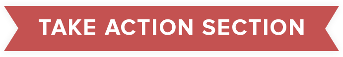 chapter 3 take action