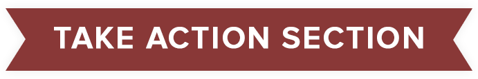 chapter 5 take action