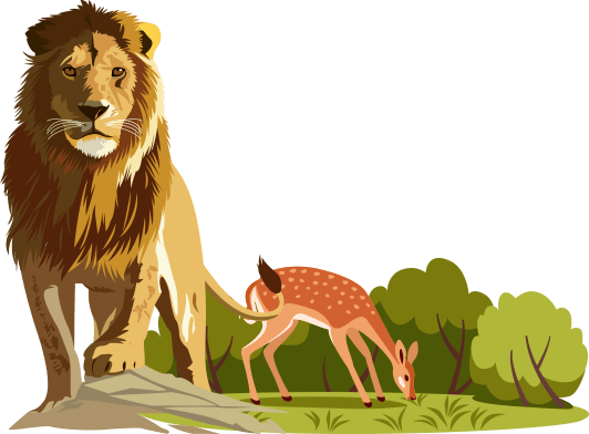 a lion and a deer