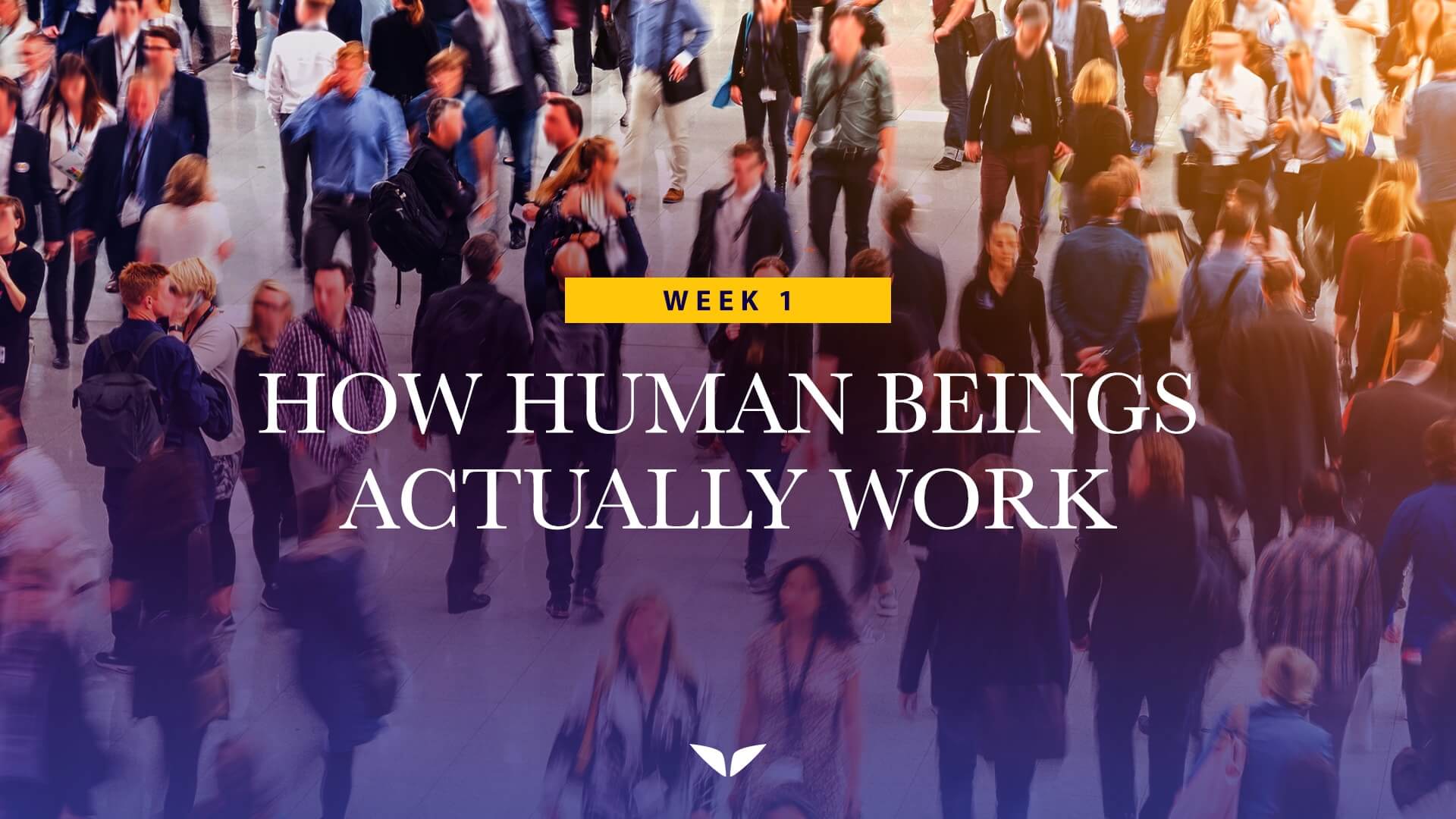 nf6g_How_Human_Beings_Actually_Work-min (1)