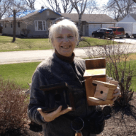 Bonnie Krause-Gams