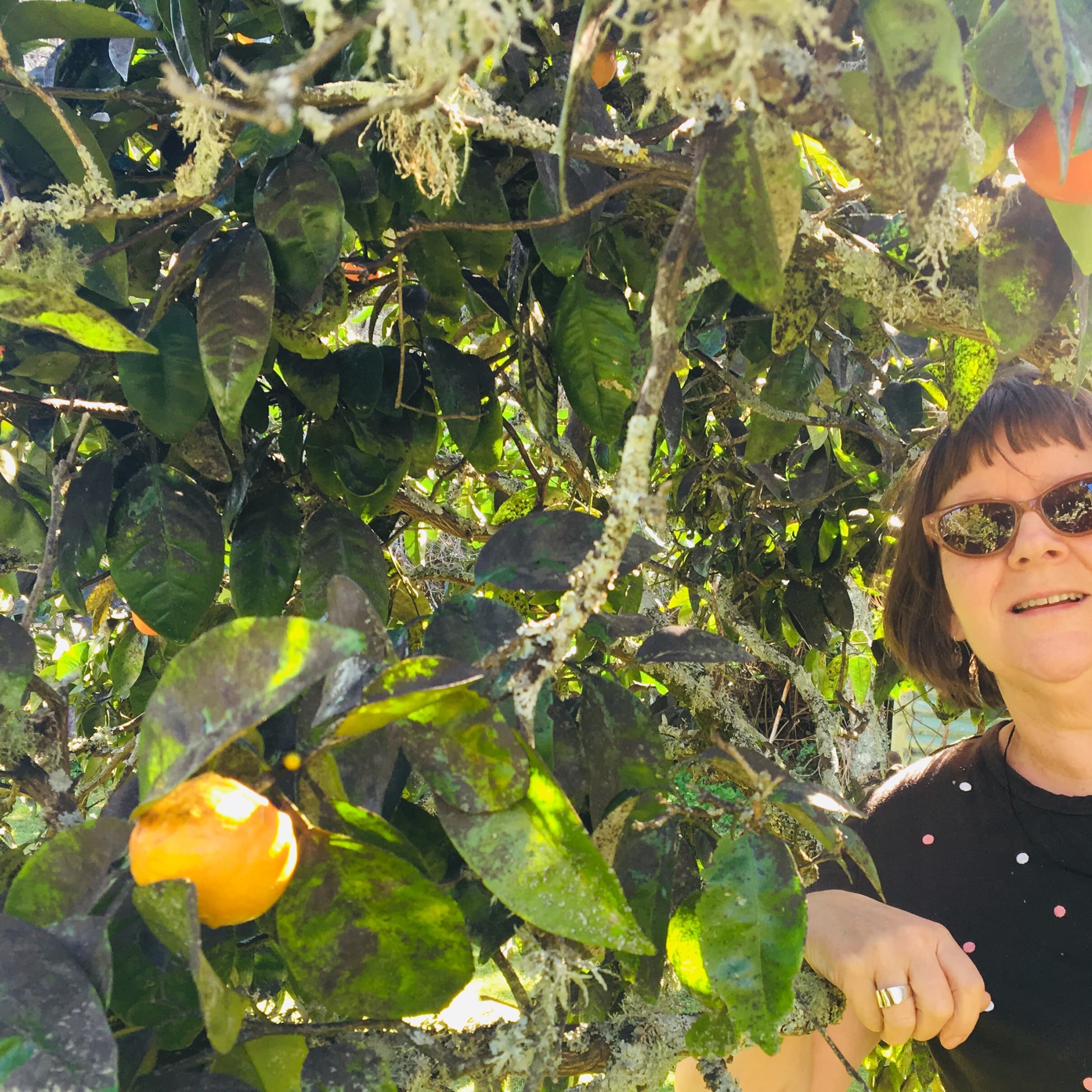 Linda Gilbert